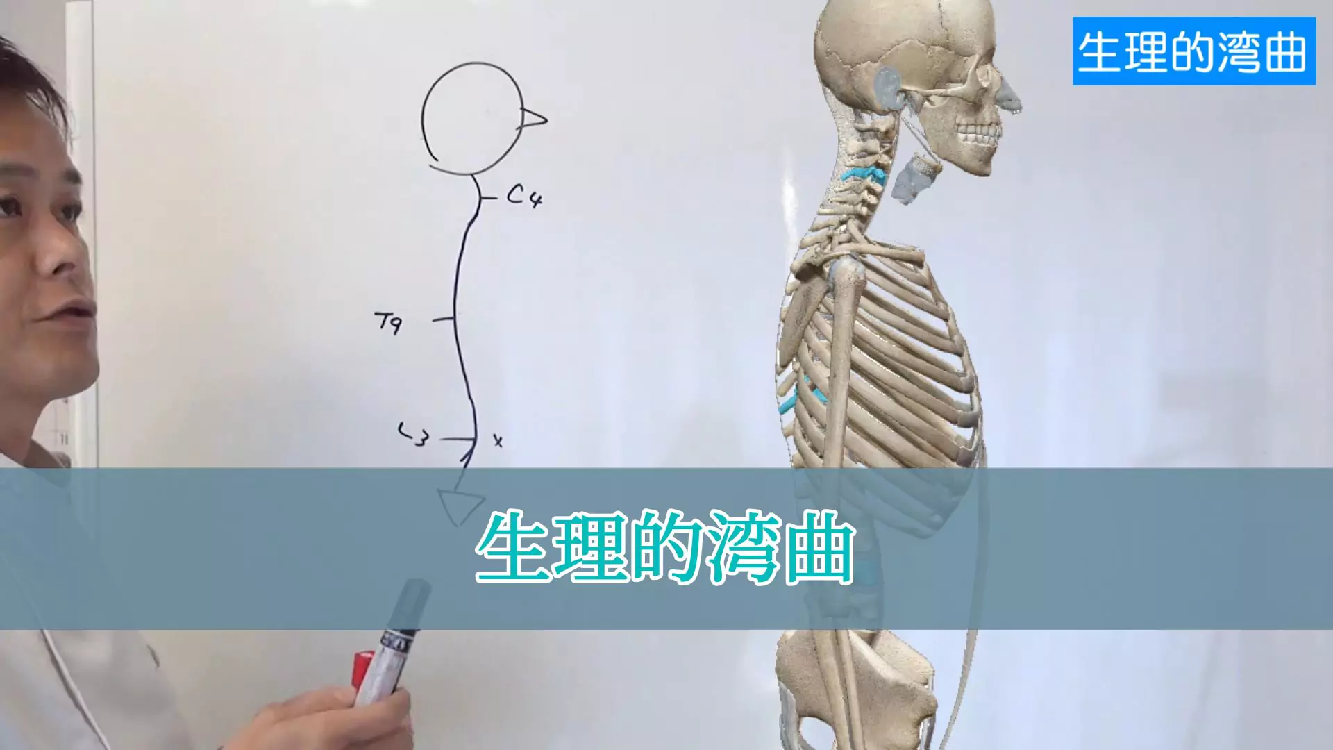 生理的湾曲（サムネイル）