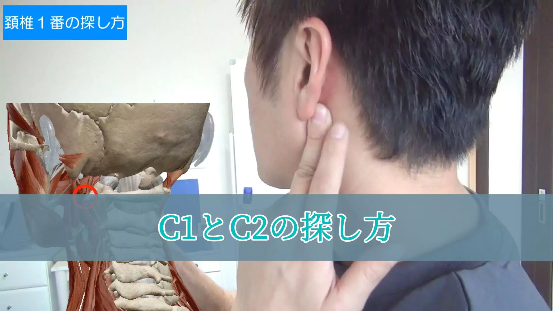 頚椎１番と２番の探し方（サムネイル）
