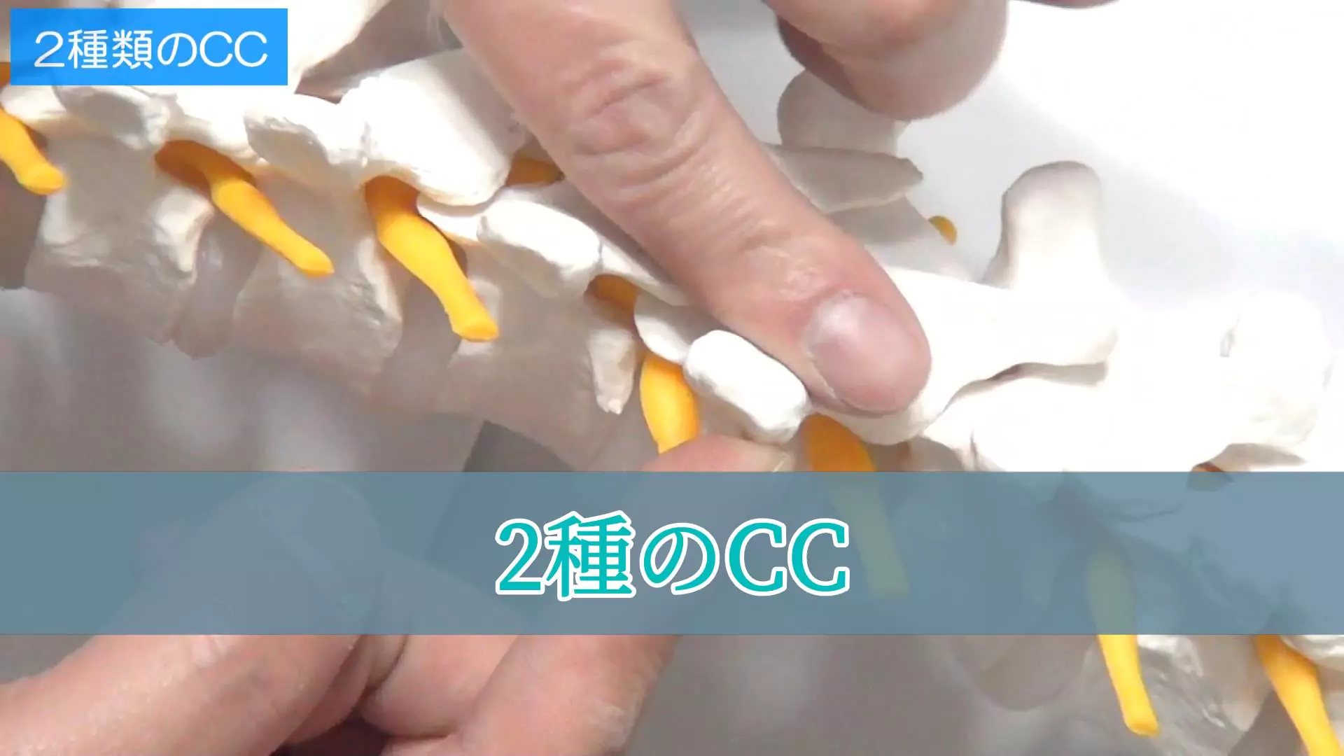 CCは2種類ある（サムネイル）